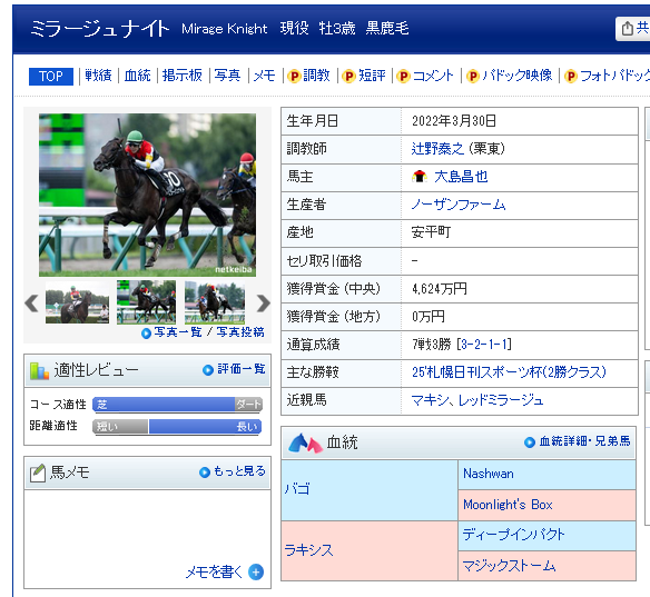 エネルジコが菊花賞制覇！ミラージュナイトも話題に
