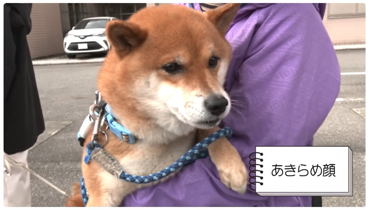 とやまソフトセンターの狂犬病予防注射動画が話題に！🐶💉