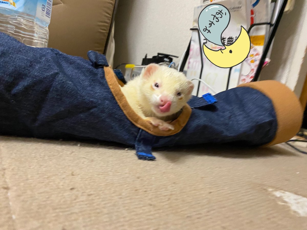 睡眠について語る人々