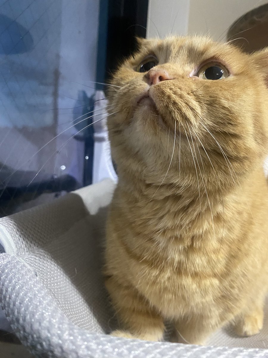 うに」のYahoo!リアルタイム検索 - X（旧Twitter）をリアルタイム検索