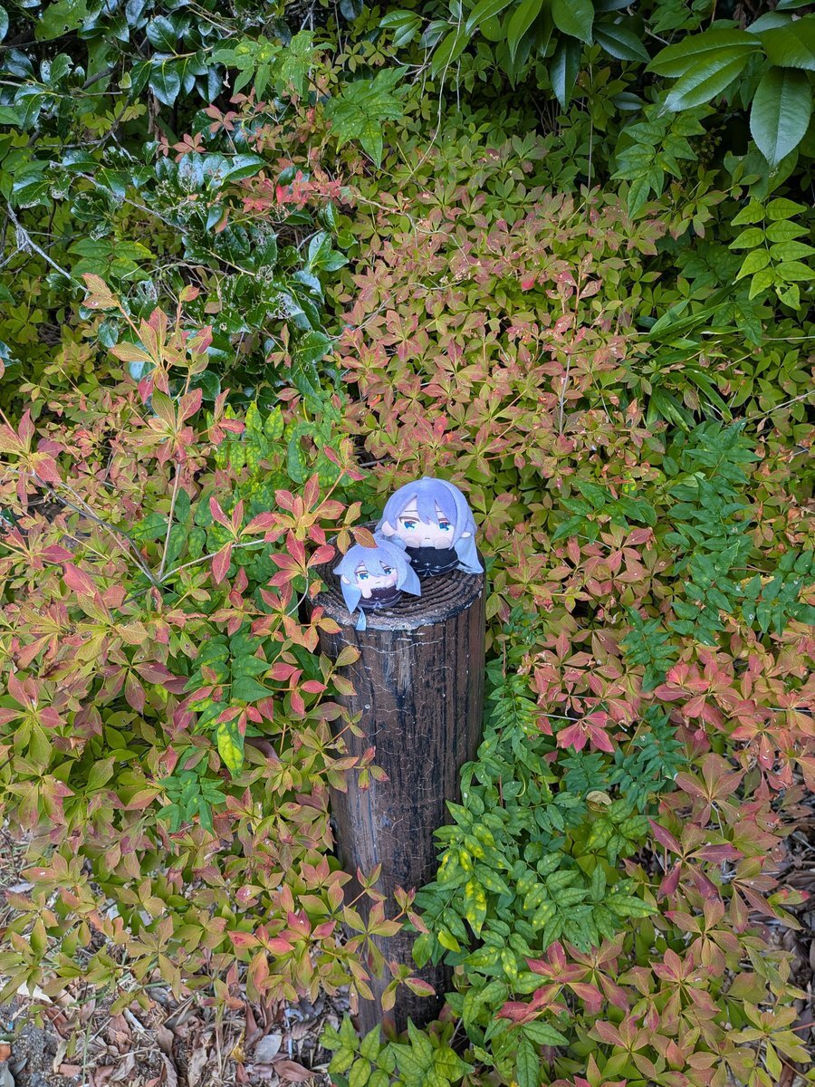 秋、息が白い！ 