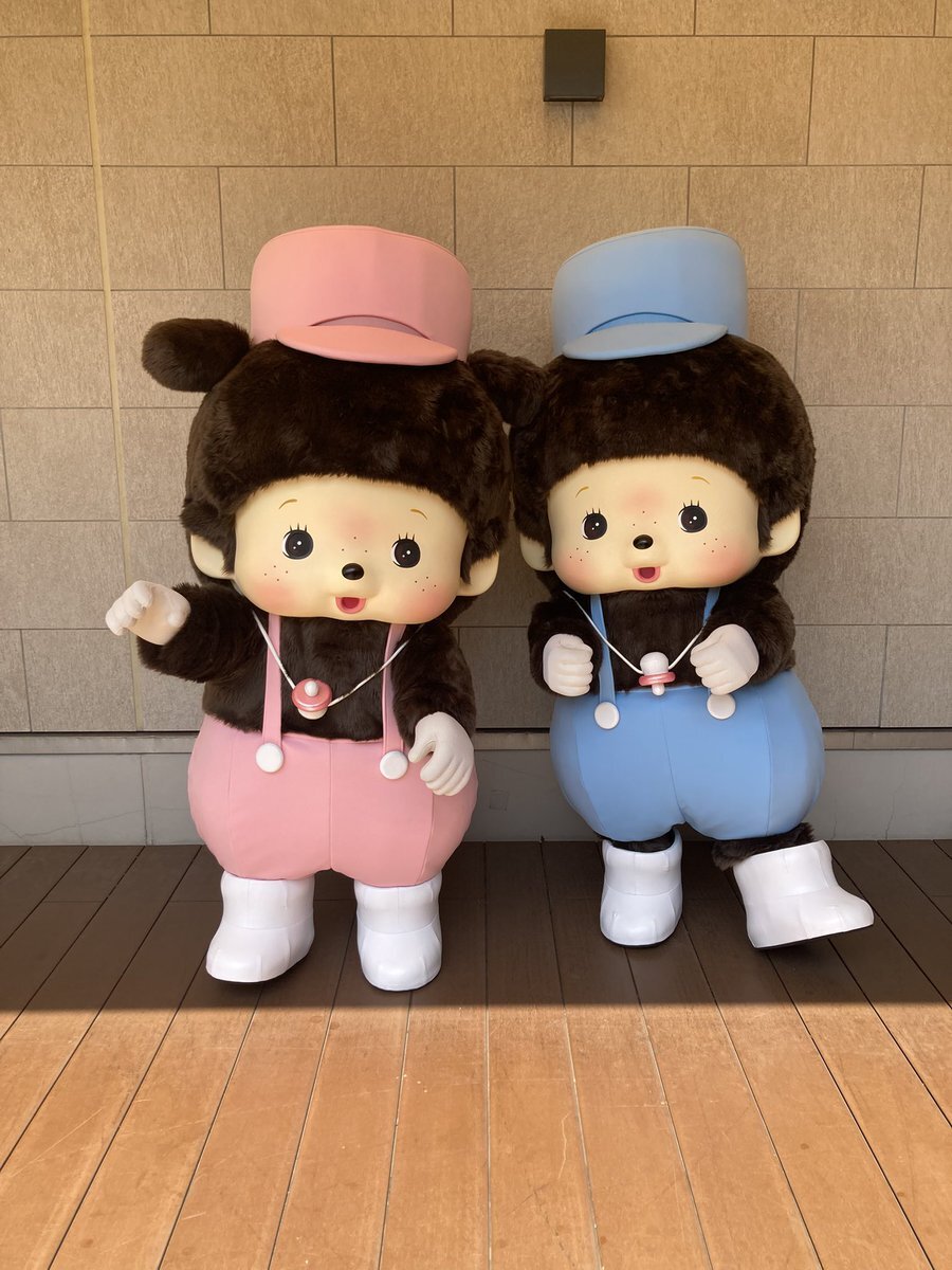 難ありモンチッチ達まとめて 特大サイズのモンチッチが入荷しました💖 男の子と女の子どちら