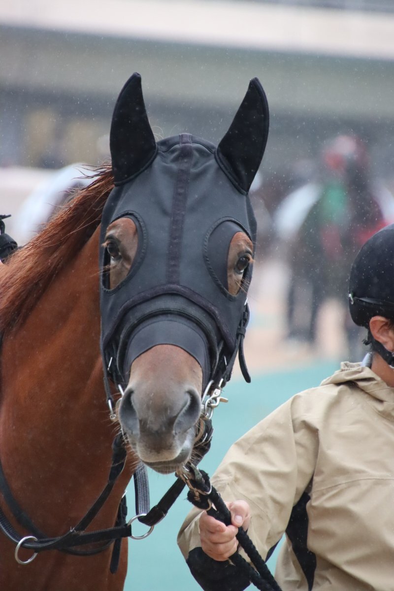 東京2Rで注目を集めた馬は？