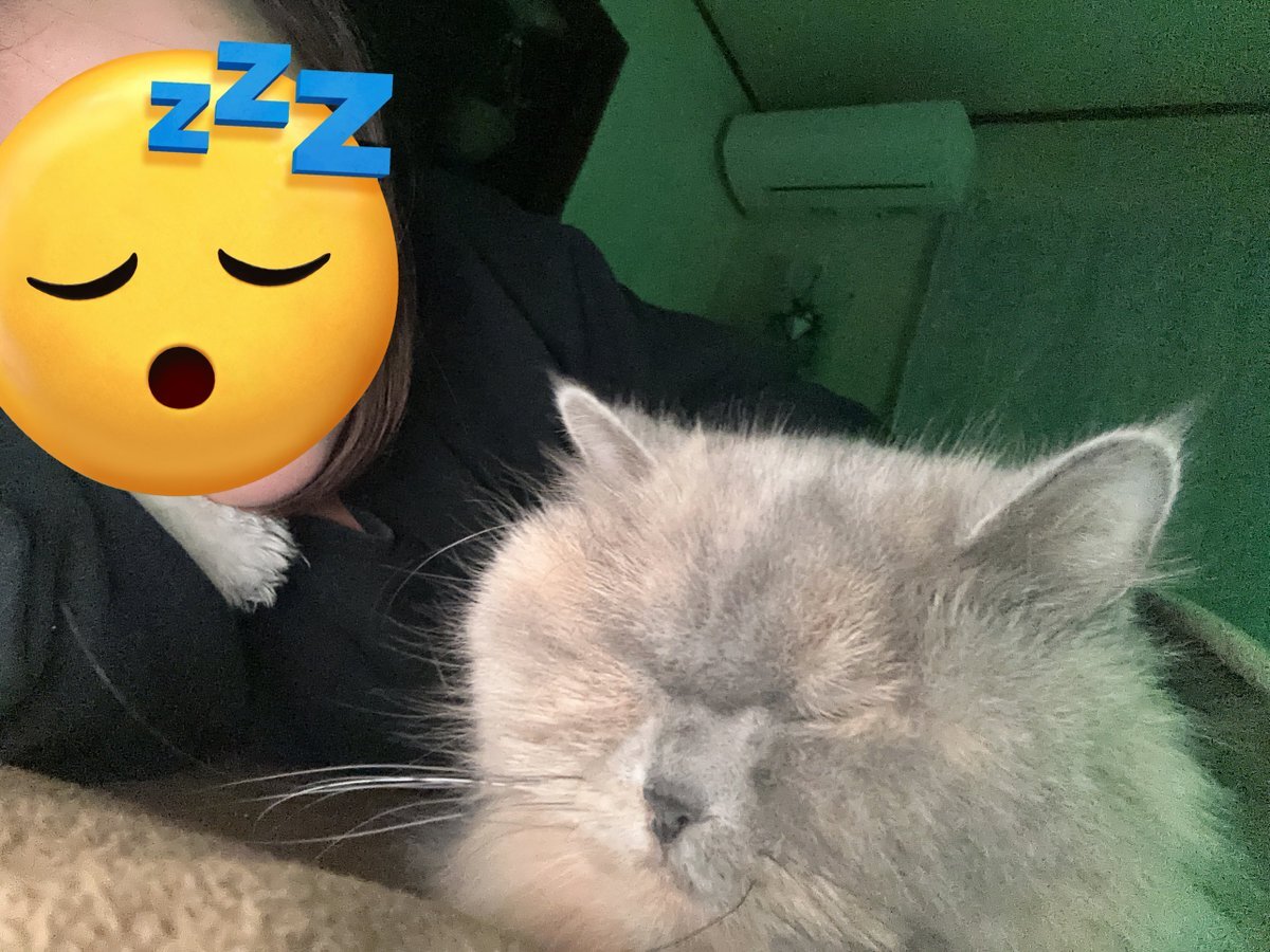 レアル・マドリード ミリトン選手、負傷交代でファン騒然