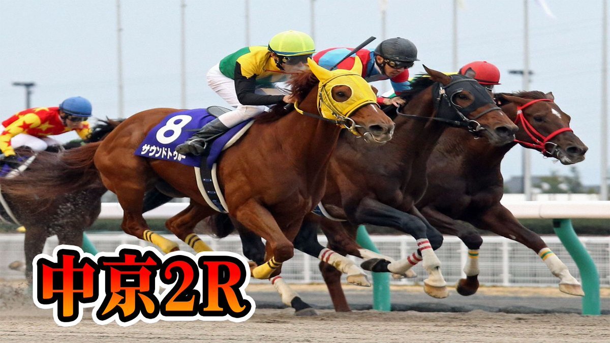 マーゴットレーヴ、差し切り勝利でファンを沸かせる