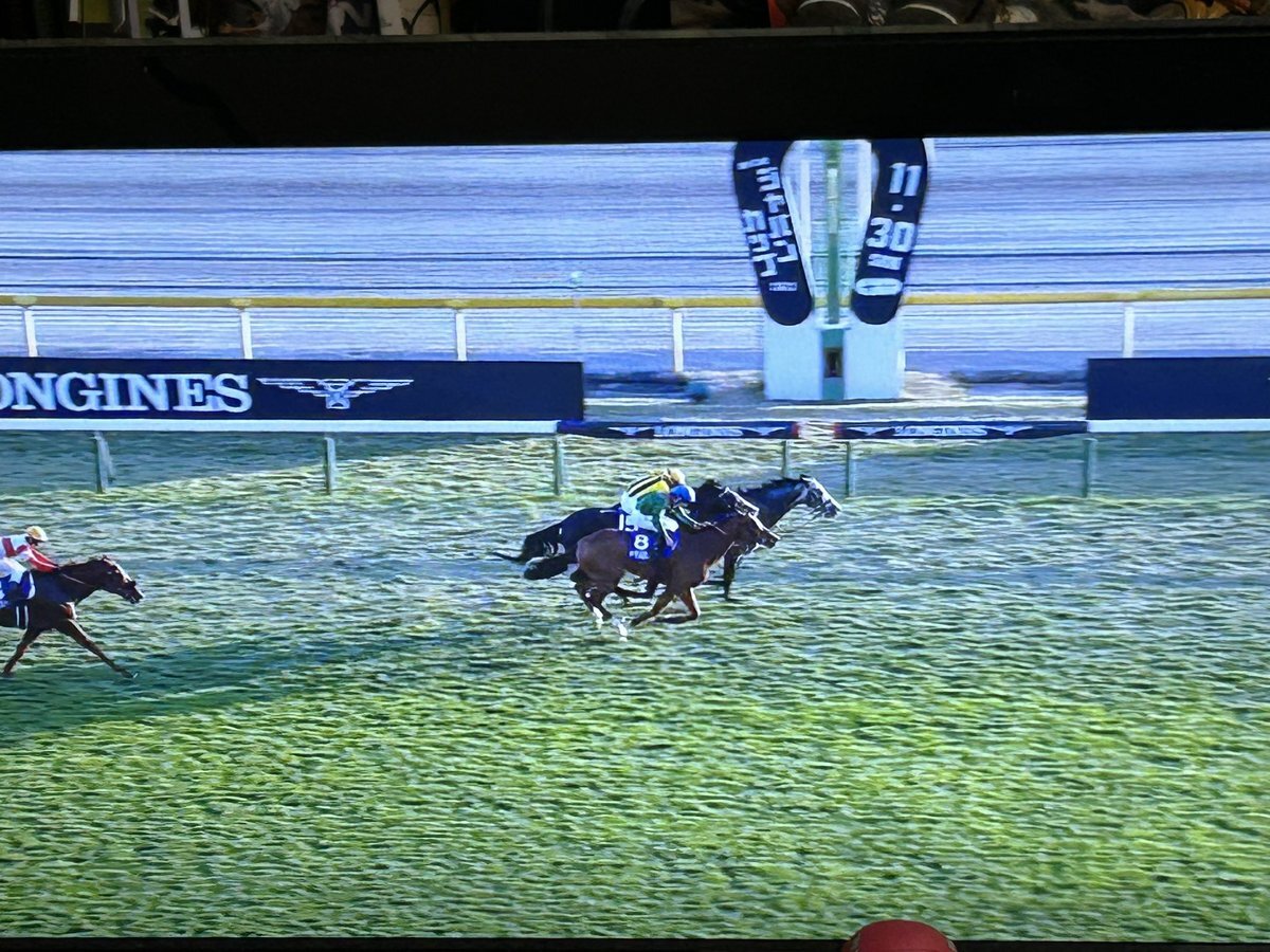 カランダガン、ジャパンカップでレコード勝利！落馬の波乱も