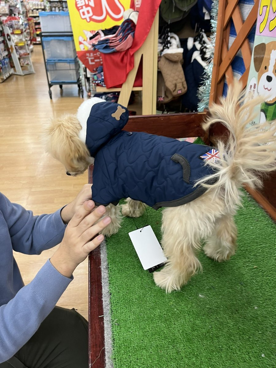 家族との温かいクリスマス、SNSでユーザーが喜びを共有 