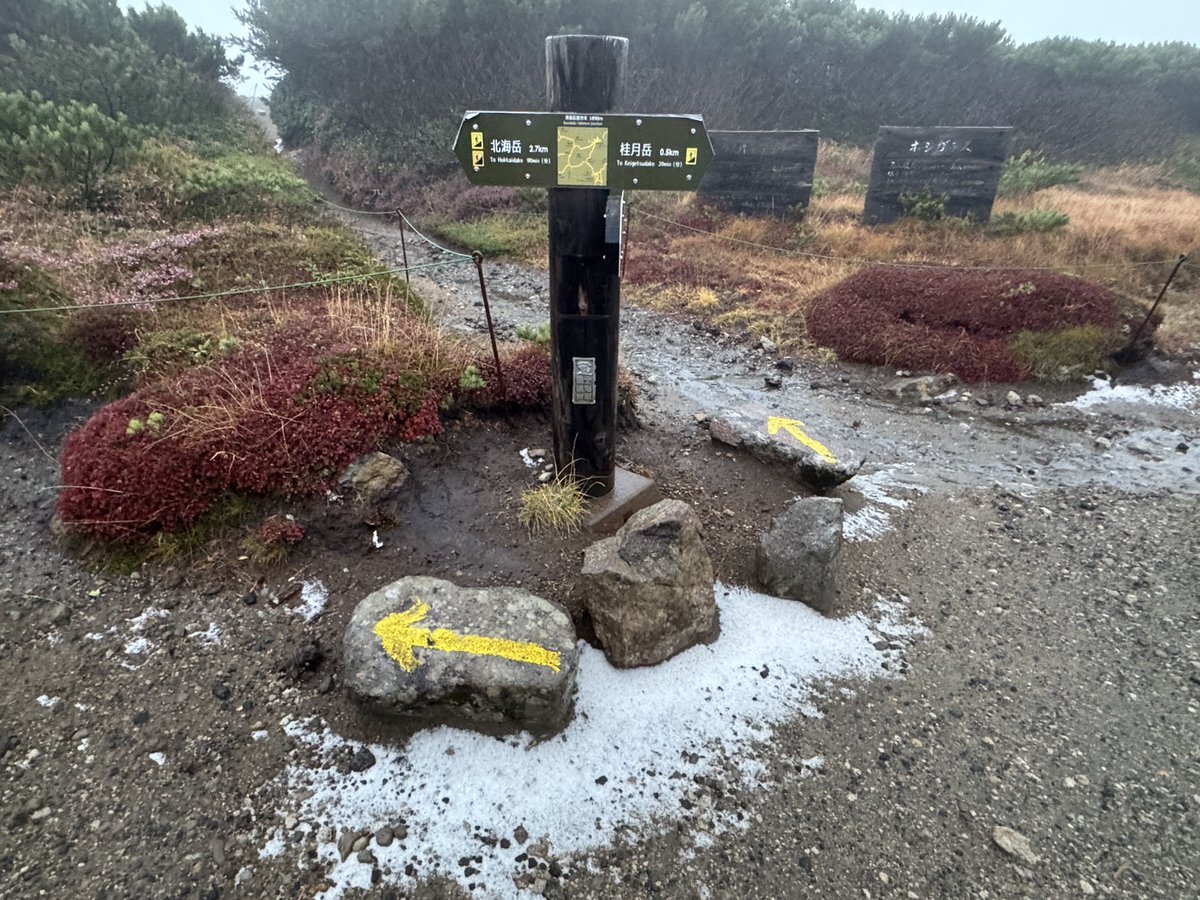 ころ 積雪」のYahoo!リアルタイム検索 - X（旧Twitter）を