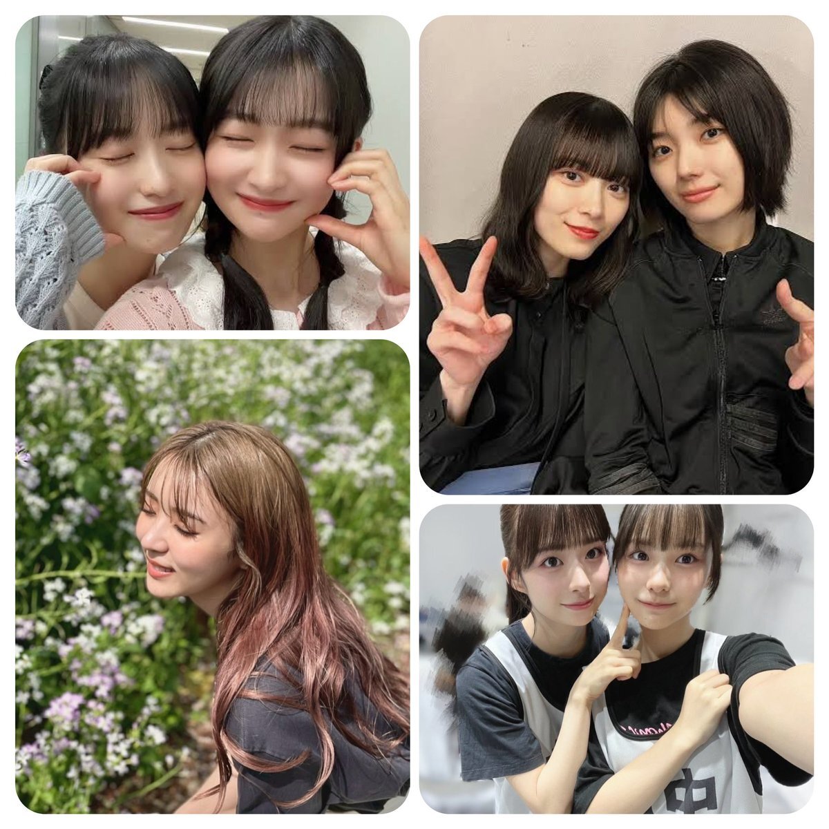 櫻坂46 松本和子 私服 ロゴ Tシャツ 8種 コンプ 櫻坂46 生写真 松本和子 死んだふり MV衣装 8種 コンプ - メルカリ