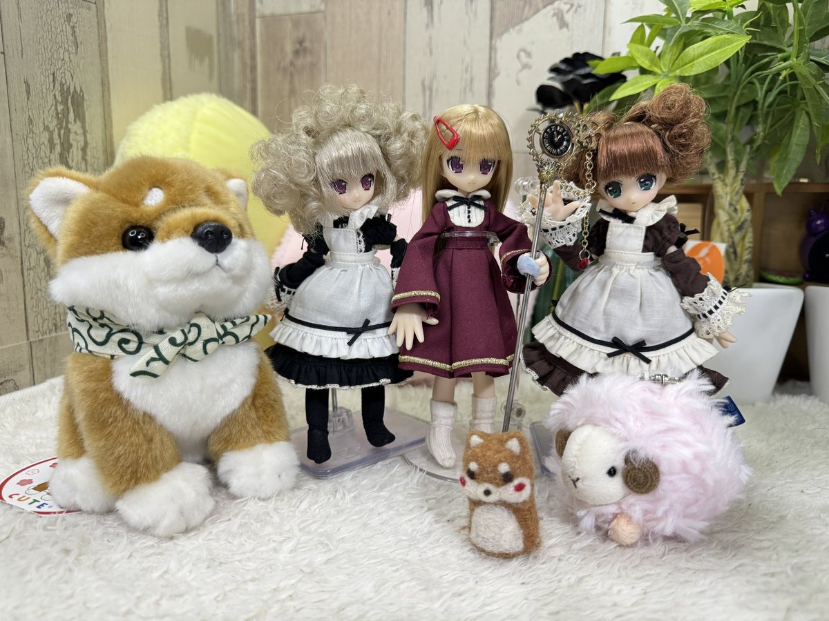 政府、経済対策に商品券発行支援案