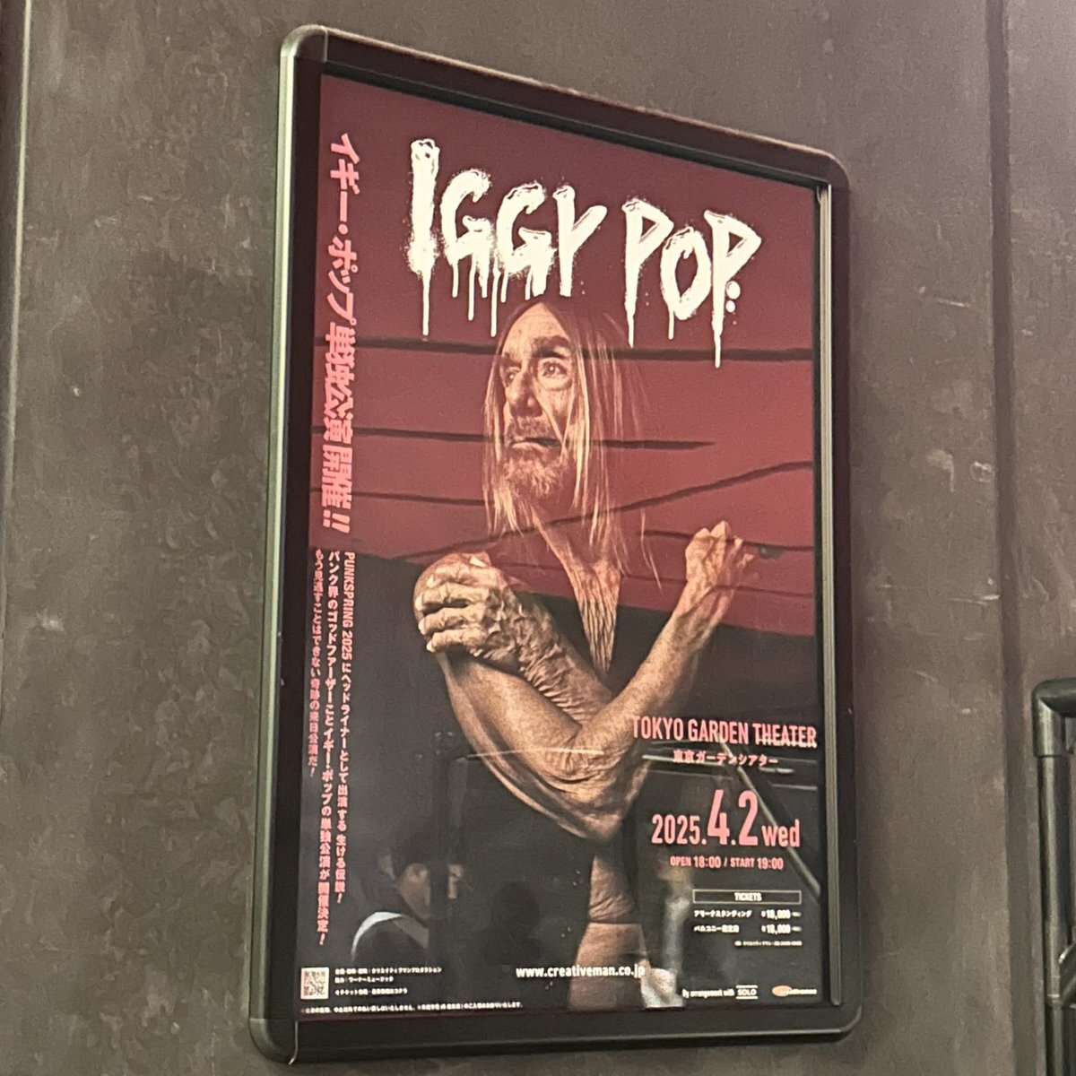 IGGYPOP イギーポップ Lサイズ 東京ガーデンシアター IGGYPOP イギーポップ Lサイズ 東京ガーデンシアター Iggy Pop