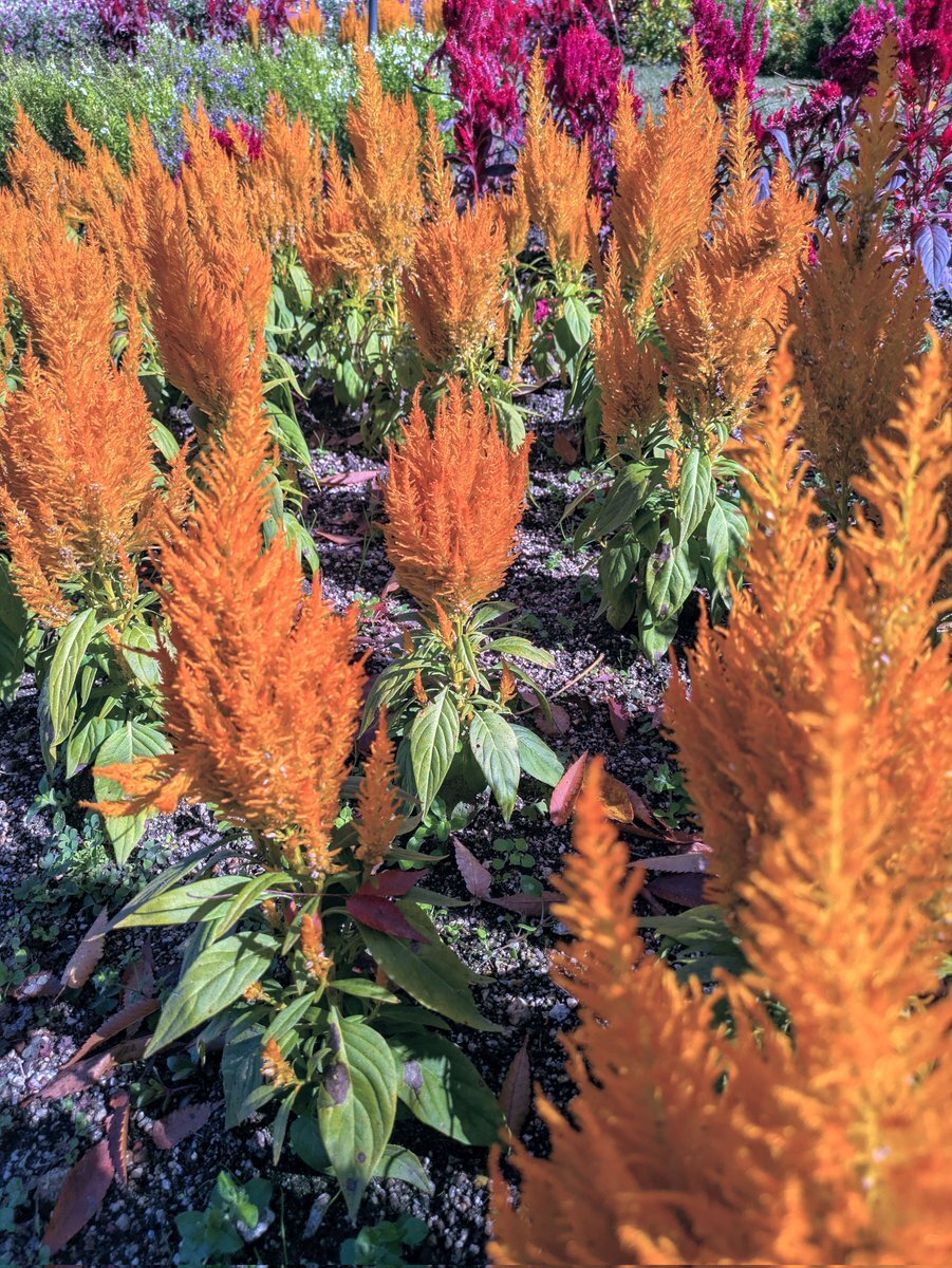 水曜日の始まりに、ユーザーたちの声