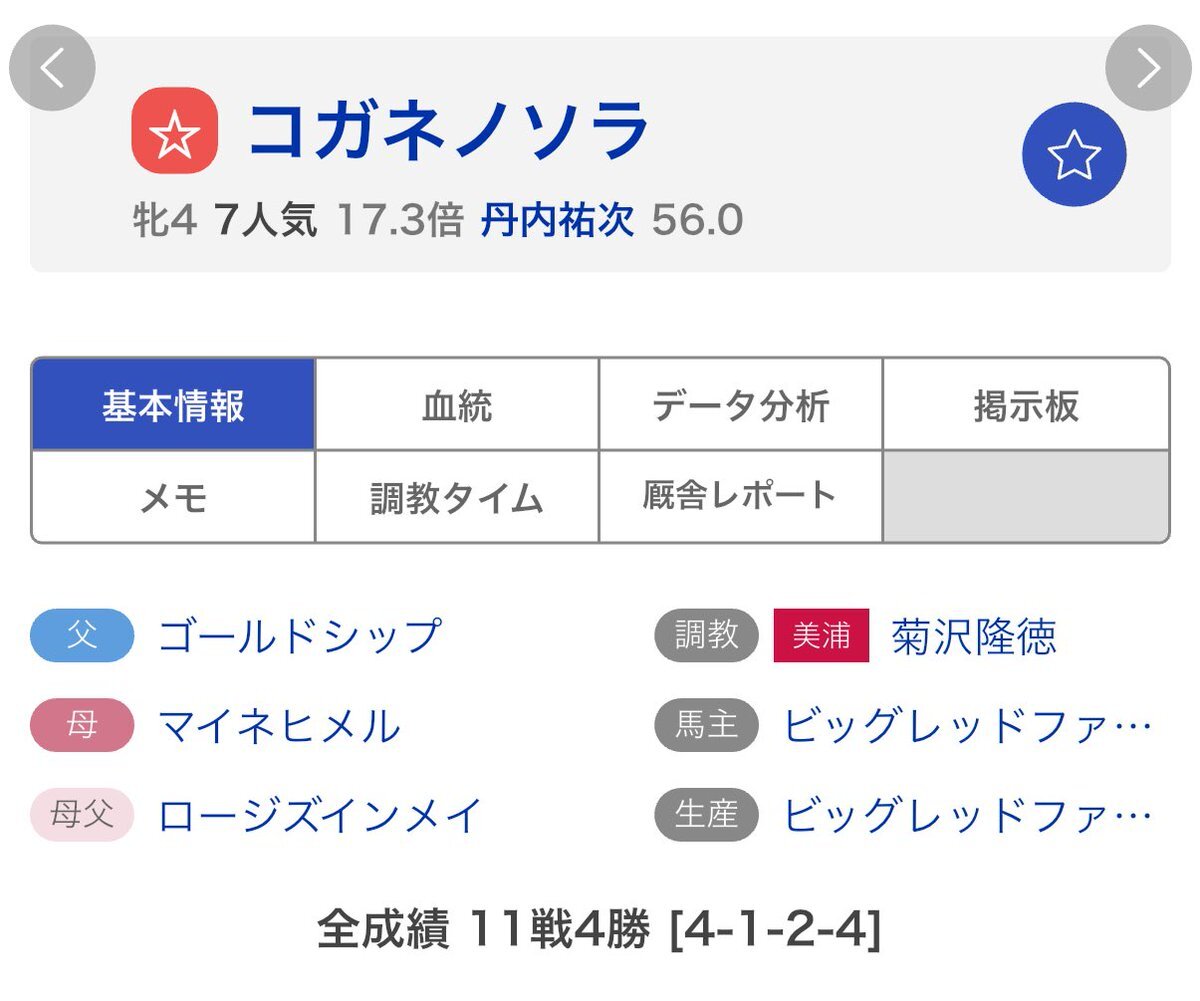 競馬ファン歓喜！ 週末のレースに出走確定馬続々