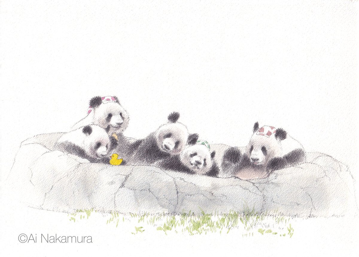 リーリーとシンシン リーリー シンシン」のYahoo!リアルタイム検索 - X（旧Twitter）を