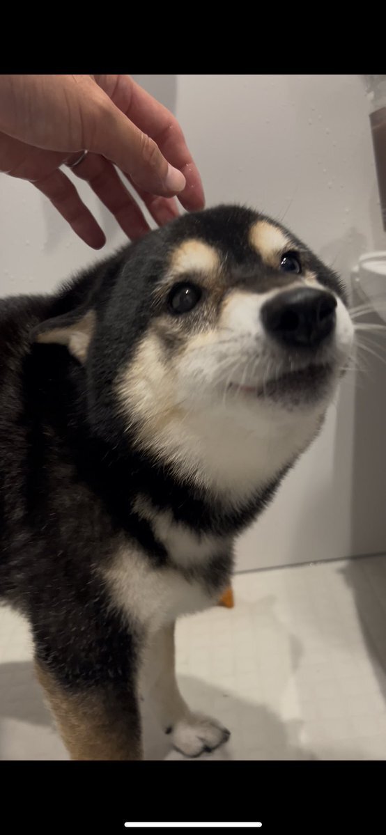 John Elliott_ボンバージャケット_黒_3サイズ_星野源_未使用に近い Ron Herman - 美品 星野源さん愛用 ロンハーマン ジョン