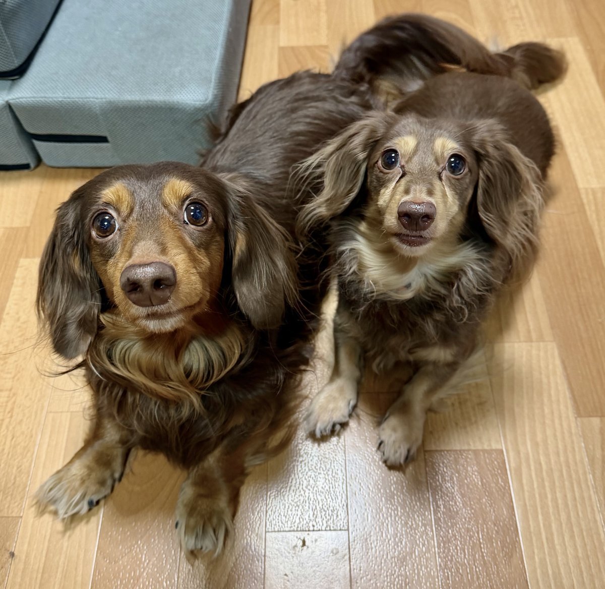 週末の朝、SNSで「寒さ」と「仕事・休み」の話題が盛り上がる