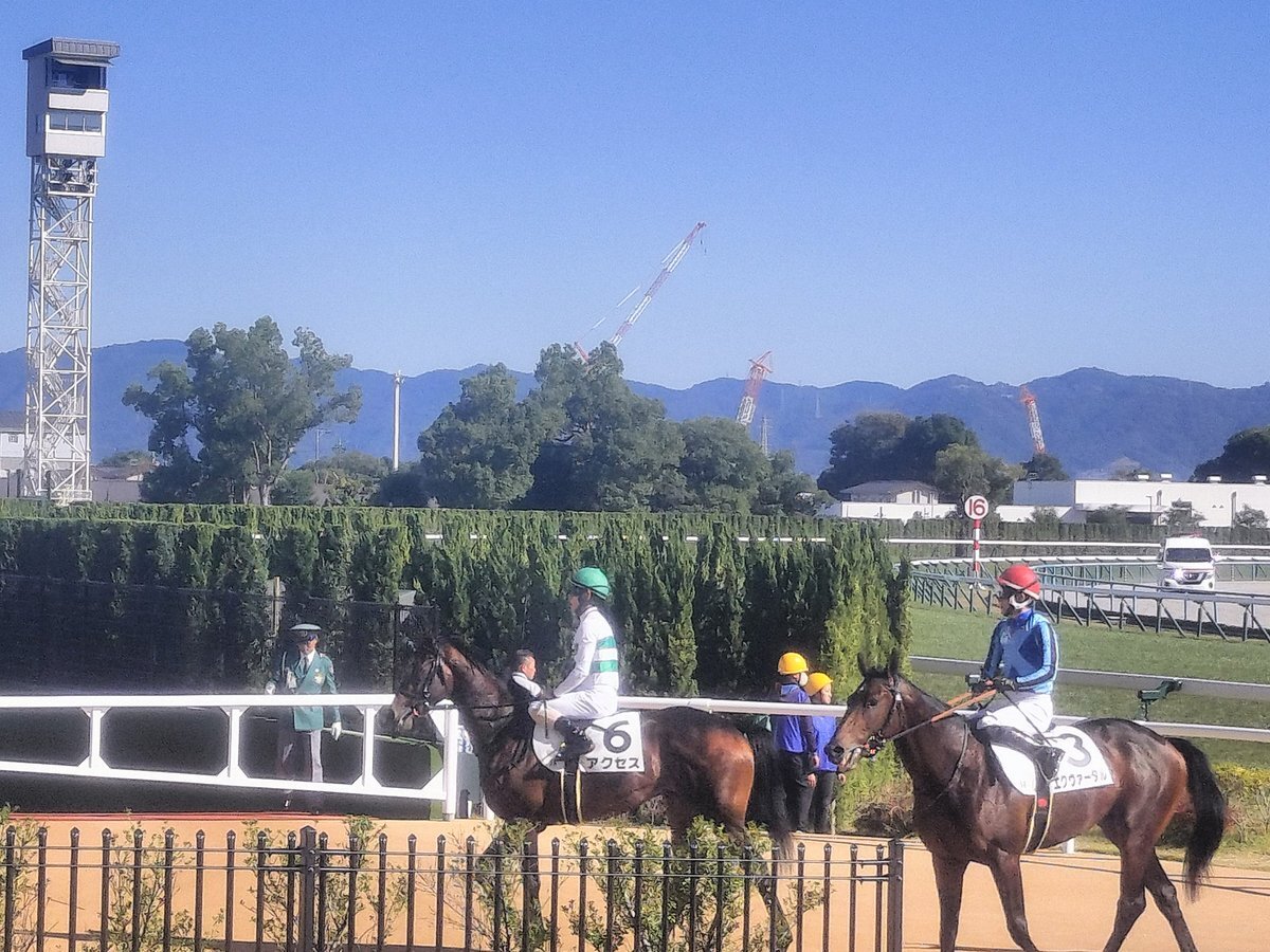 キセキ産駒のアクセス、新馬戦を制覇！