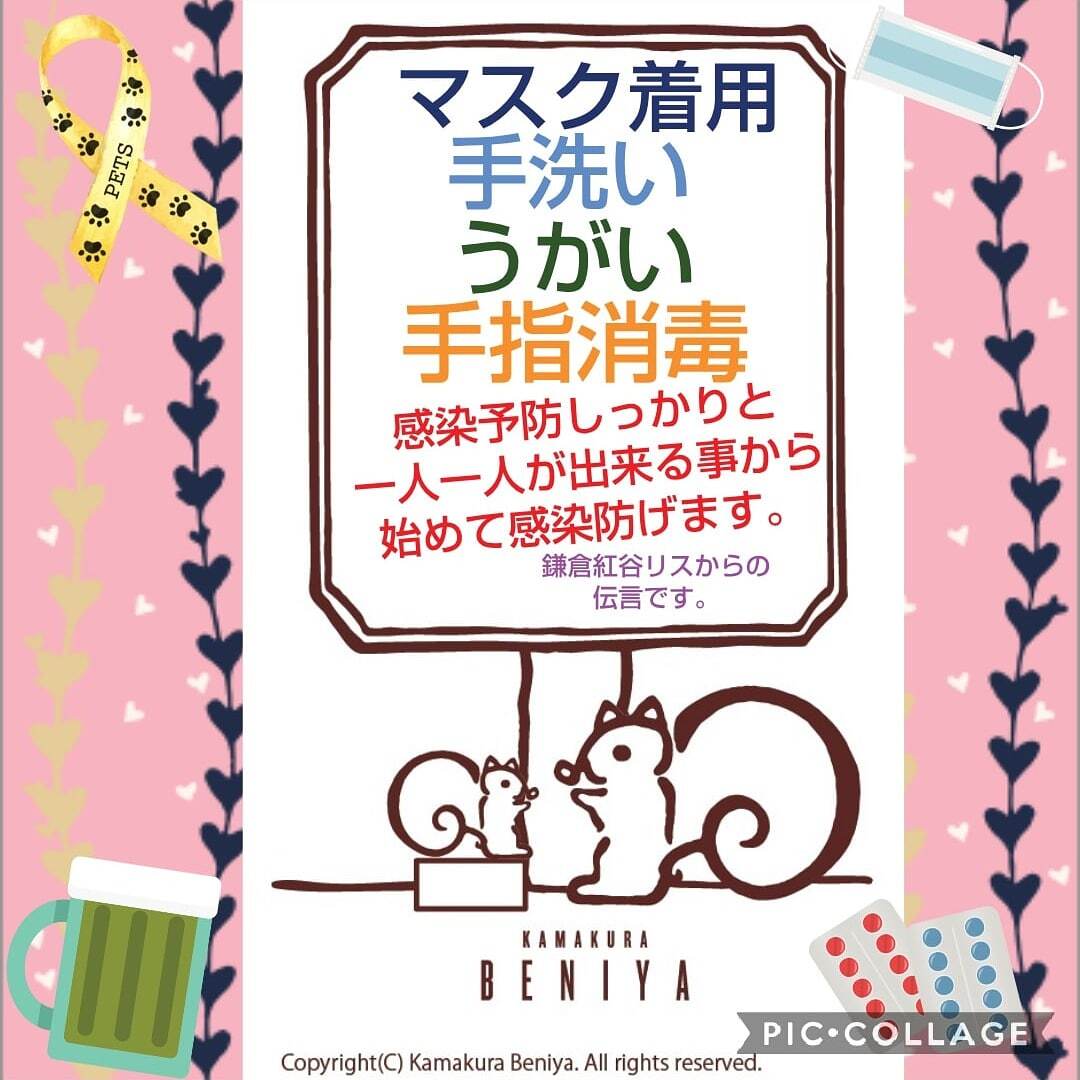 鎌倉紅谷 のtwitter検索結果 Yahoo リアルタイム検索