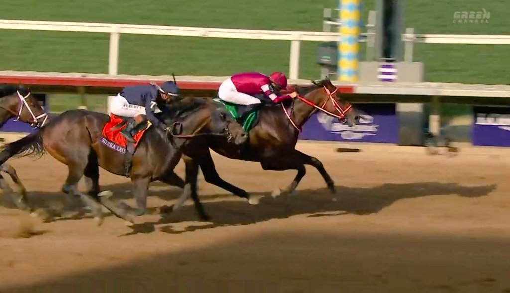 サンデーサイレンスの血統、BCクラシック制覇なるか？