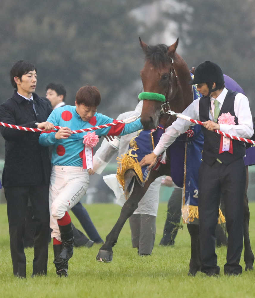 「ザ・ロイヤルファミリー、口取り式の意味は？」