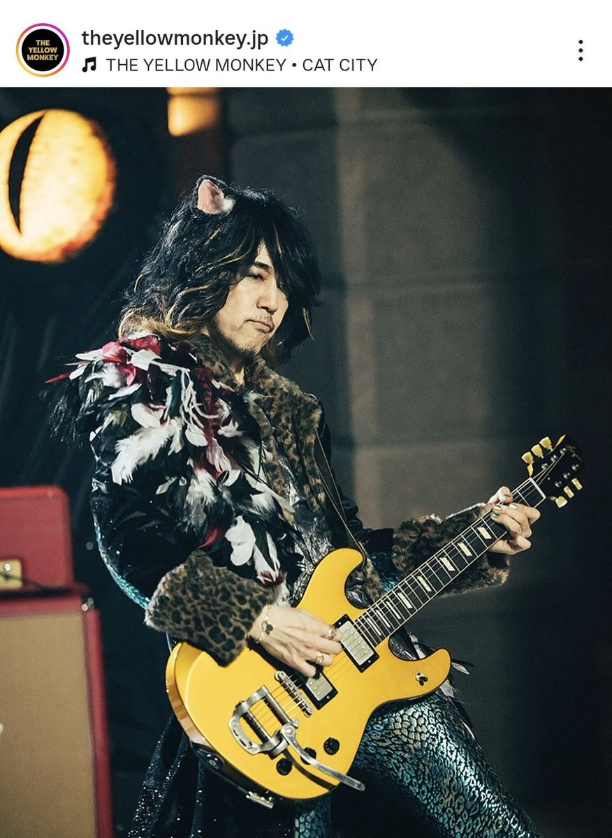 THE YELLOW MONKEY 菊地 英昭さん本人使用ピック THE YELLOW MONKEY | ザ・イエロー・モンキー オフィシャルサイト