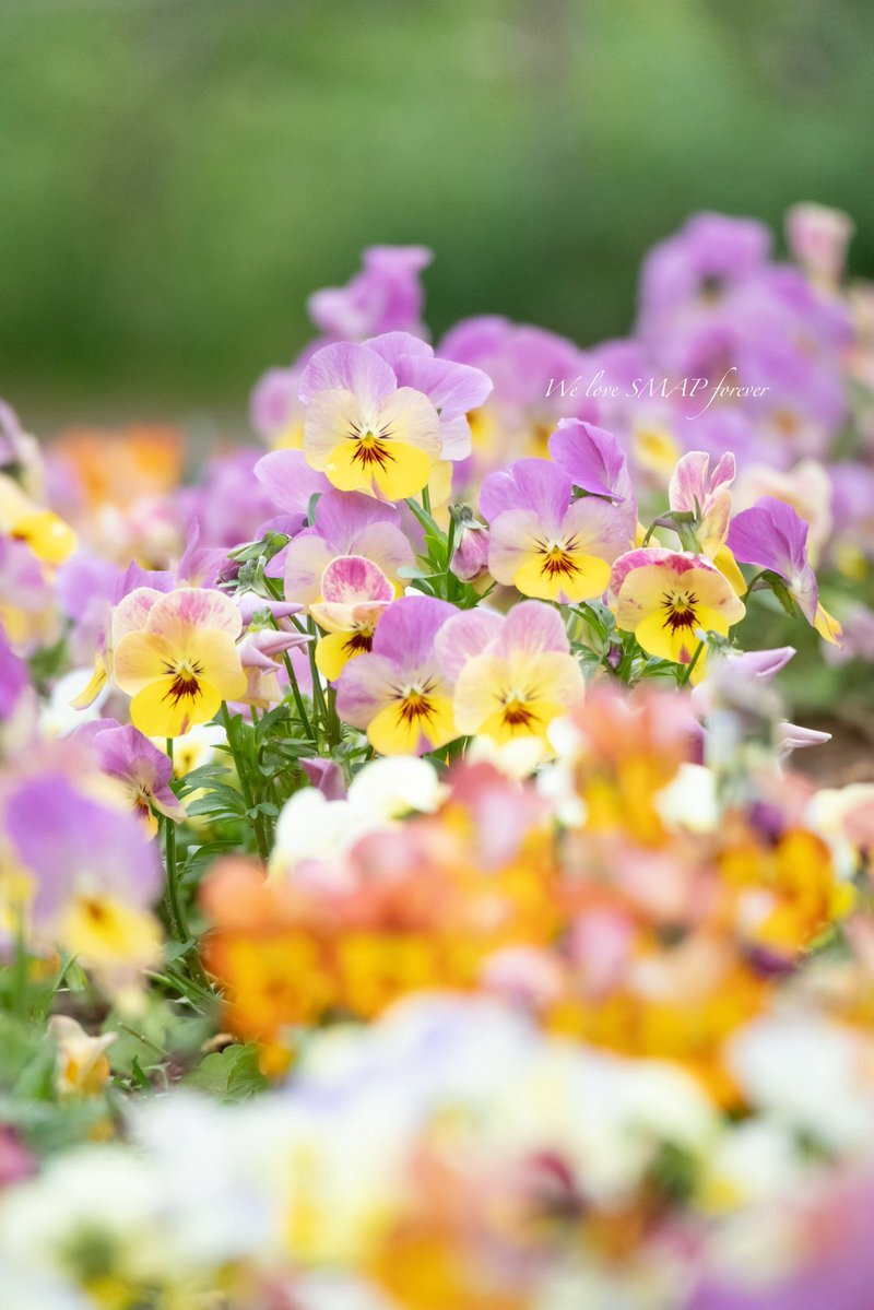 青森沖地震受け 防災リュック準備を呼びかける声