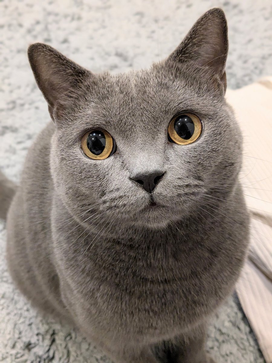 買わないで」のYahoo!リアルタイム検索 - X（旧Twitter）を