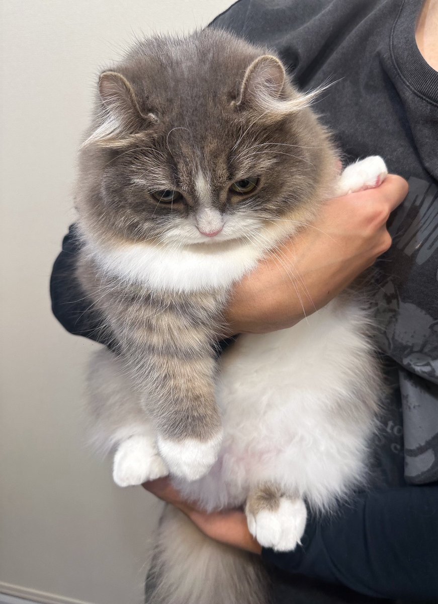 アンナ(ANNA)」のYahoo!リアルタイム検索 - X（旧Twitter）を