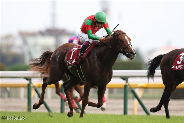 京王杯2歳S覇者 コラソンビートが引退、繁殖入りへ