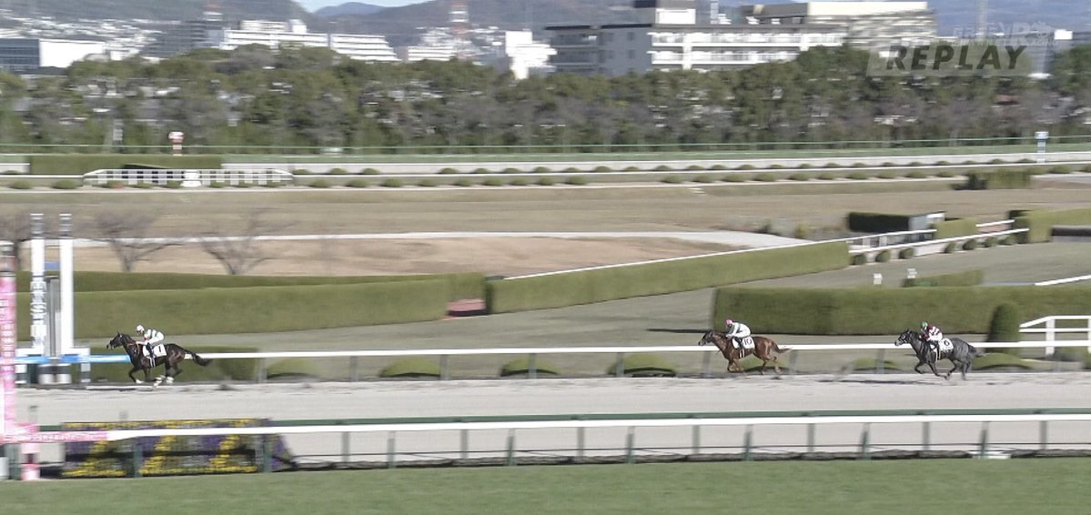 コントレイル産駒スカイストライプス、ダート初勝利でファン歓喜！