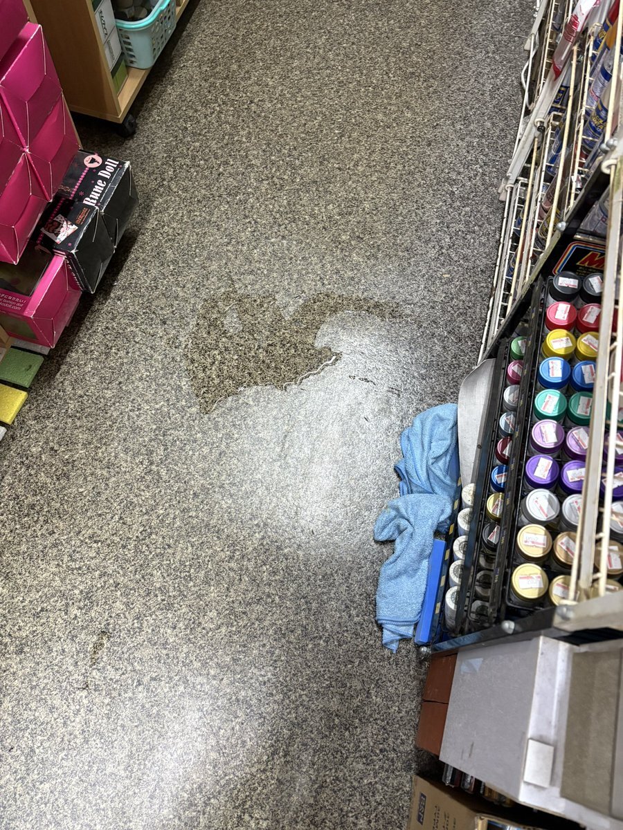 「グッズ不足」「席確保」 ファンが運営に求める改善点