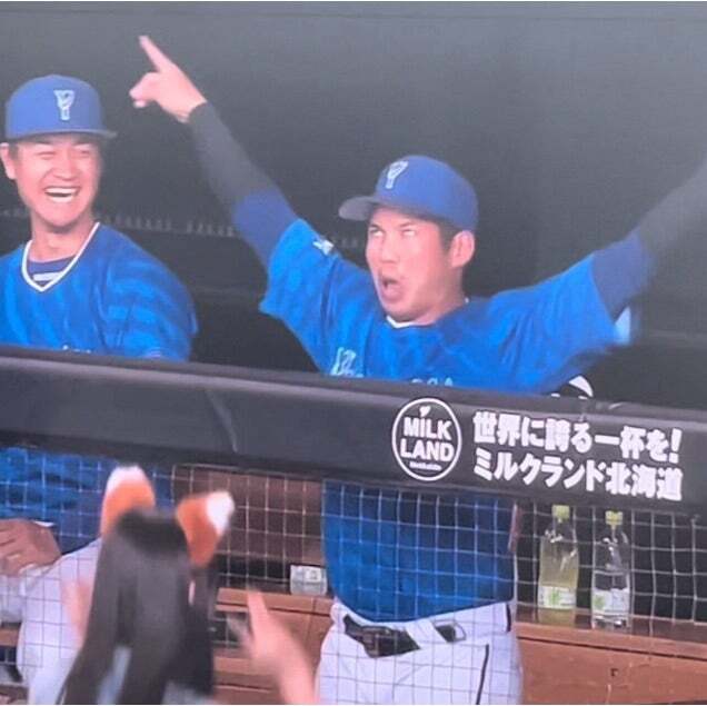 桑原将志、西武へ！「きつねダンス」で球場を盛り上げ期待高まる