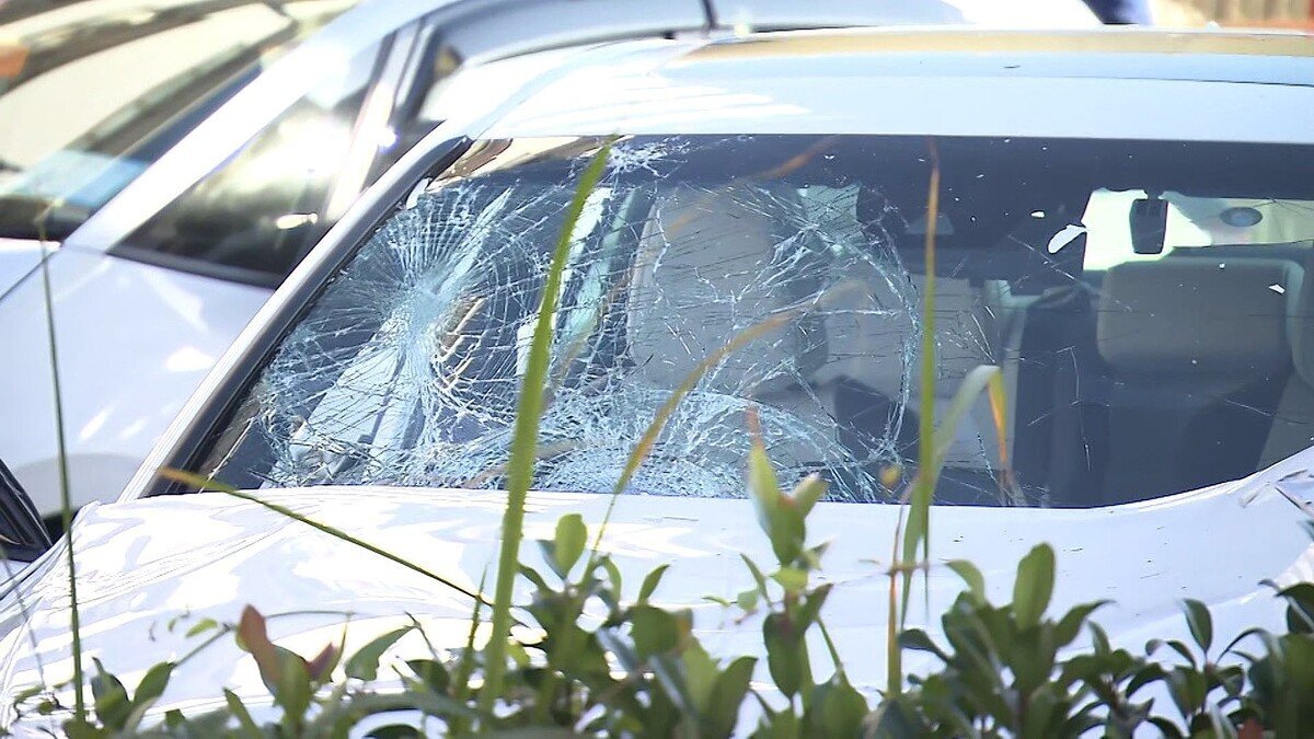 足立区ひき逃げ事件：容疑者氏名非公開、責任能力審議