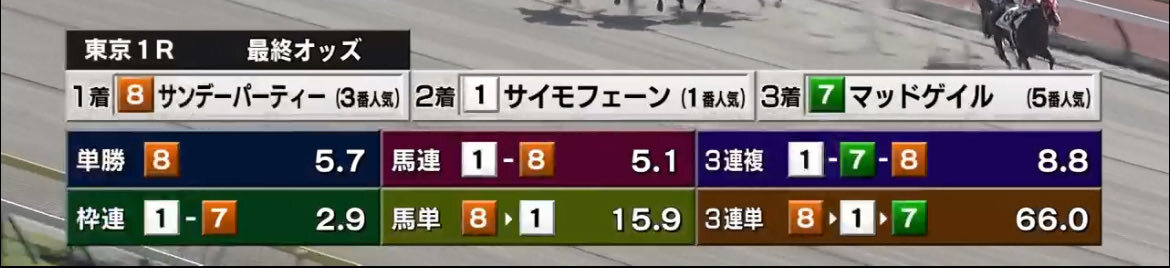 サンデーパーティーが圧勝！東京競馬場を沸かせたのはなぜ？