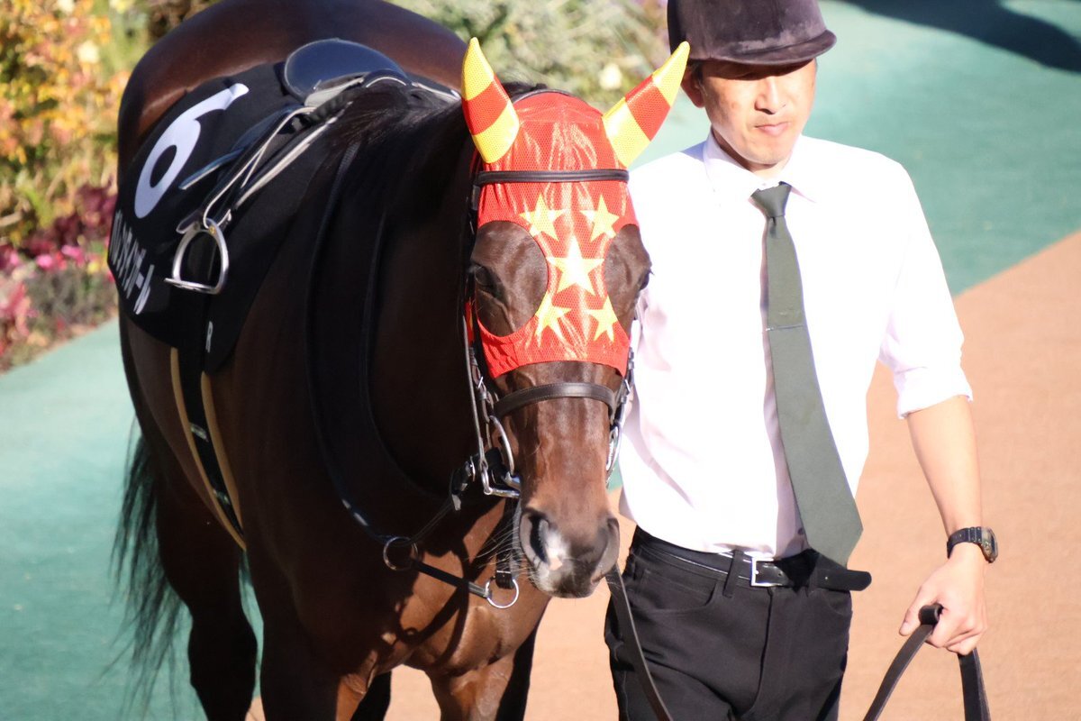 公営出身バレンタインガールが南武特別制しノーザンファーム連勝ストップ！