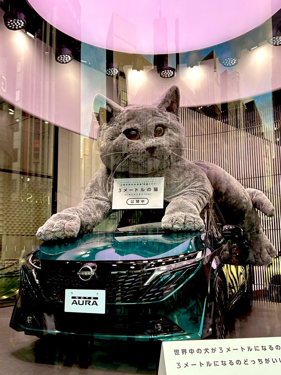 テルヒコウ、東京スポーツ杯2歳Sで勝利なるか？ 期待の声集まる