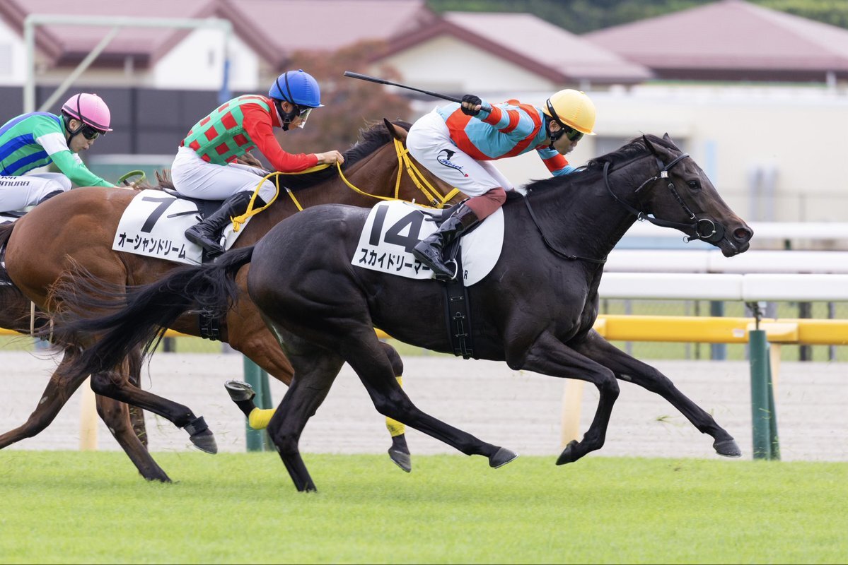 スカイドリーマー」のYahoo!リアルタイム検索 - X（旧Twitter