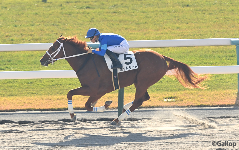 川田将雅騎手、ホットシートでJRA年間100勝達成！ 