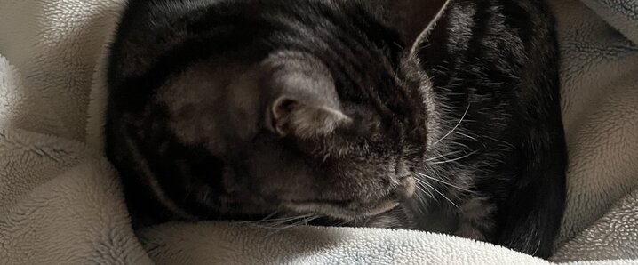 オルフェーヴルさま確認ページ♡ オルフェーヴル」のYahoo!リアルタイム検索 - X（旧Twitter）を