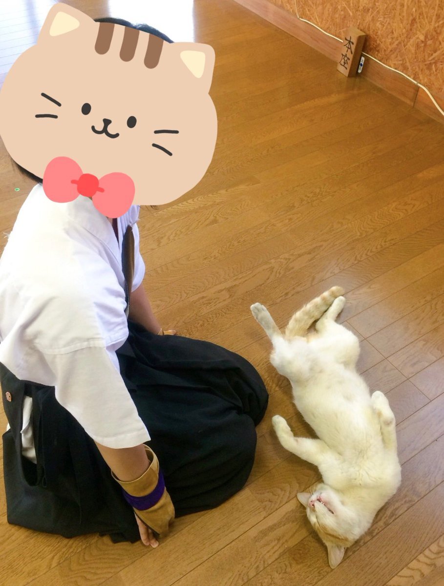 カピバラさん」のYahoo!リアルタイム検索 - X(旧Twitter)を カピバラさん」のYahoo!リアルタイム検索 - X(旧Twitter)を