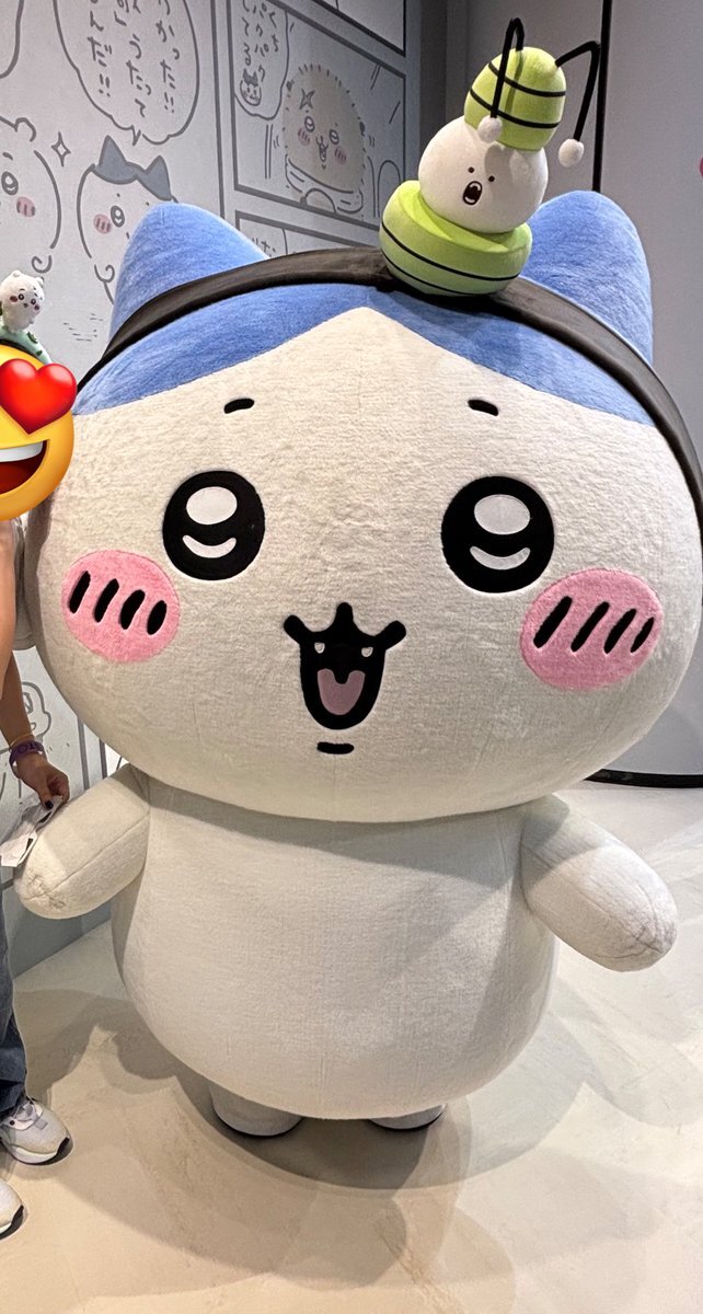 アイドルとファンとの関係に疑問の声