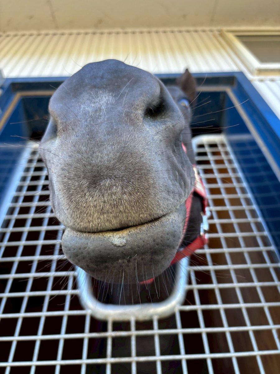 あーちゃん 🎾🏸⛳️ 毎年ヘビロテ🫶🏻鬼厚底サンダル😇 今年も現場の意見が