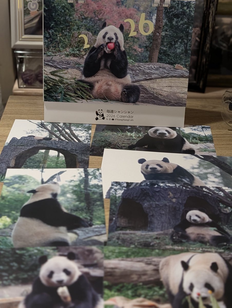 シャンシャン様♡ご確認用 毎週シャンシャン」のYahoo!リアルタイム検索 - X（旧Twitter）を