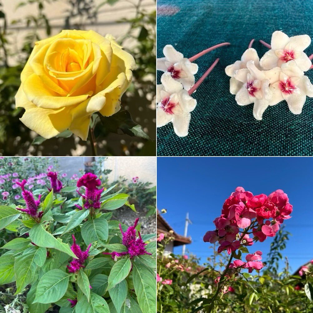 雨の日に、SNSユーザーたちはどんなことを考えている？