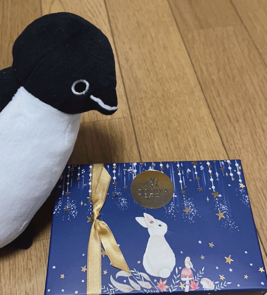 ペンギンちゃん X（旧Twitter）で話題のおもしろ画像や動画 - Yahoo