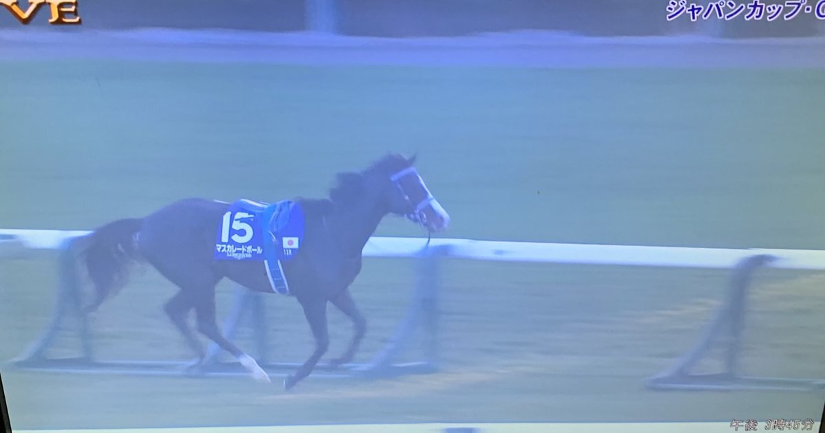 ジャパンカップ！カランダガン圧勝、ゴール後放馬の衝撃