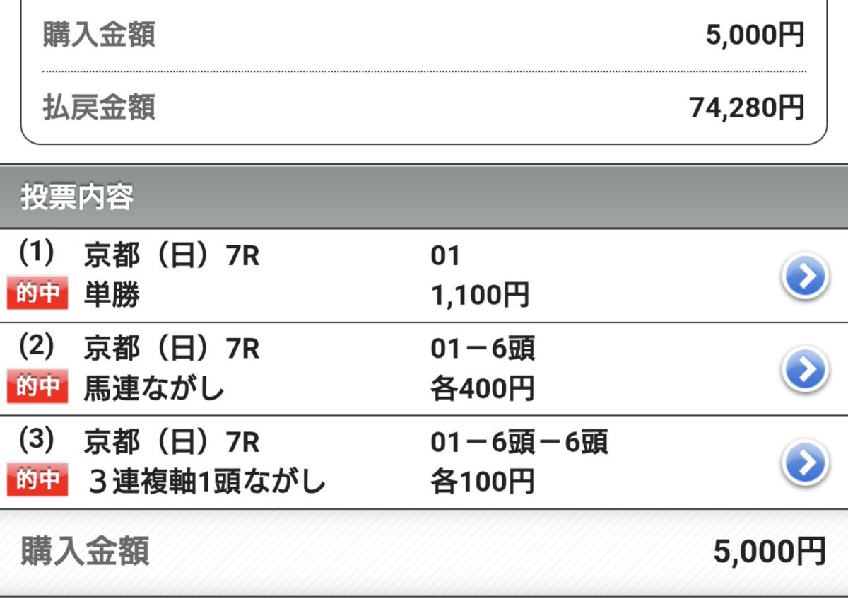 ヤマニンヒストリア、京都7Rで2着！「頑張った」「予想通り」の声