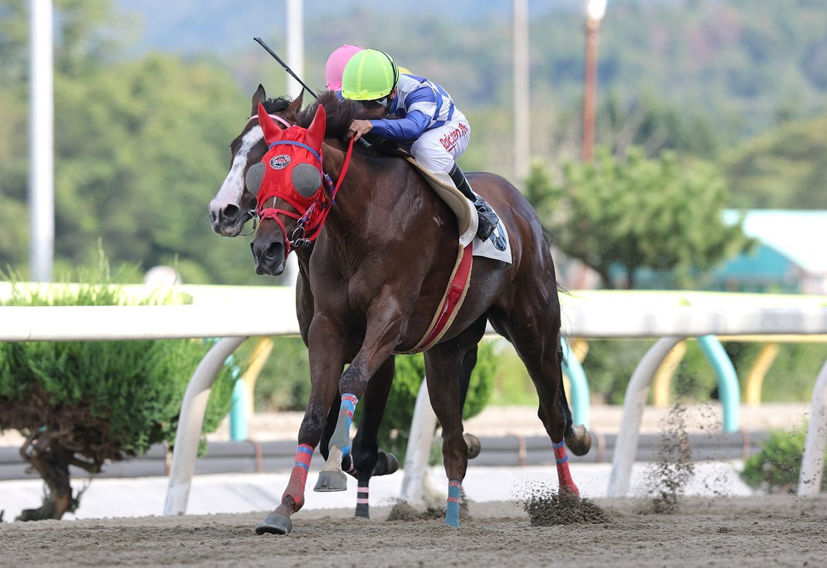 【中古】30years Iwate Keiga 岩手県競馬組合30周年記念誌 中古】30years Iwate Keiga 岩手県競馬組合30周年記念誌