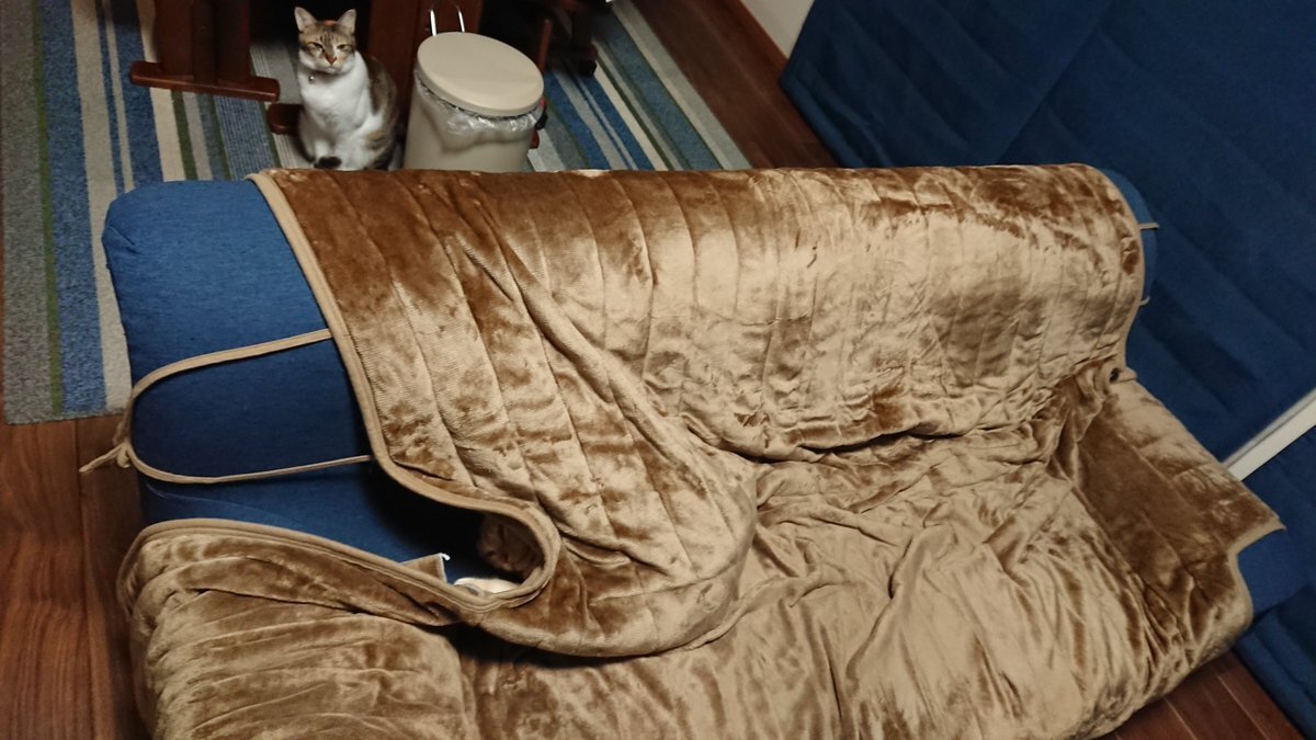 eKo、ZETA DIVISION加入なるか？