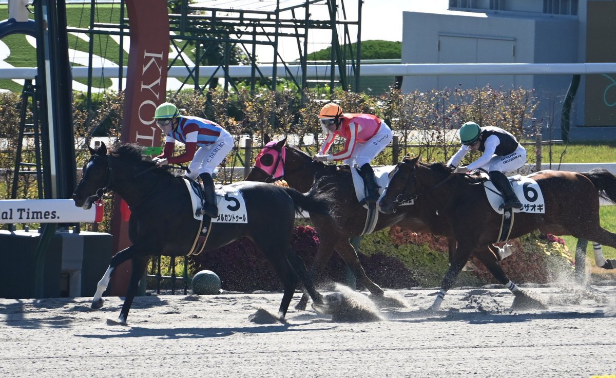 シンリョクカ、エリザベス女王杯で13着に